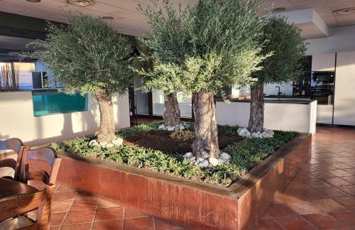 Bellavista Suite Spa - Foto 9