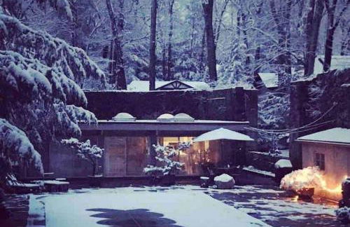 Midcentury Modern ZenHouse Sculptor Studio - Foto 22