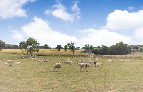 Wood Cottage - Foto 48