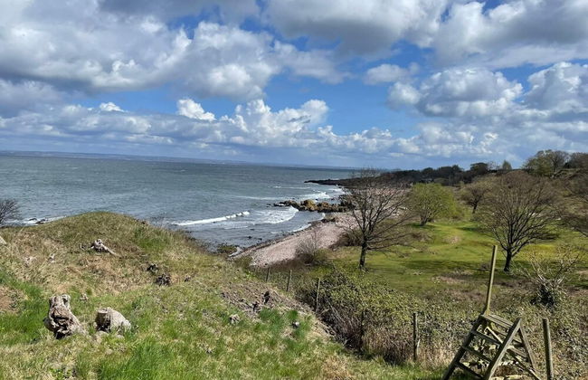 4 Star Holiday Home in Kattarp - Photo 38