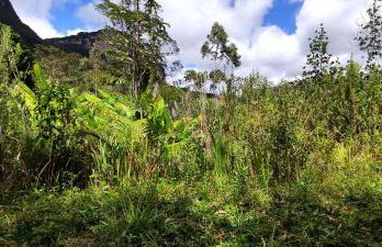 Studio Pitanga - Vale do Capão - Caeté Açu - - Foto 14