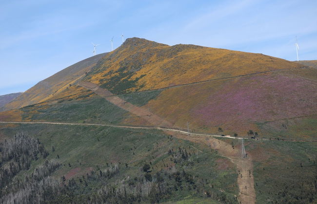 Comfortable Rural Cottage in Ancient Village in the Douro Region - Foto 38