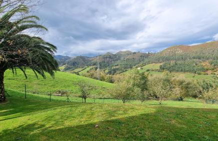 Casa La Palmera - Vistas y calma en Ribadesella - Foto 16