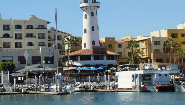 Excursion à Los Cabos et village magique de Todos Santos - Photo 3