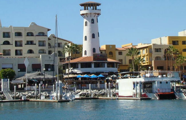 Excursion à Los Cabos et village magique de Todos Santos - Photo 3