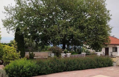 Guesthouse Michobeis - Foto 52