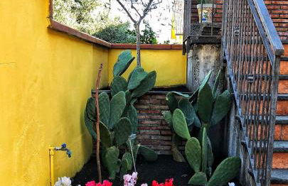 OPUNTIA DELL'ETNA BIKE HOUSE - Foto 34