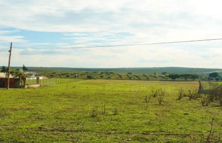 Casa da Tia Luísa - Foto 37