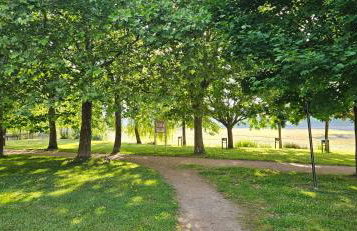 Les oiseaux du lac - Foto 15