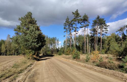 Widny Jaś zaprasza z psem nad jezioro na Kaszubach - Foto 38