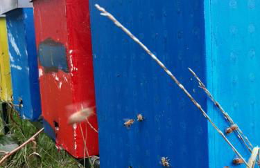 Agriturismo Fior Di Campo - Foto 88