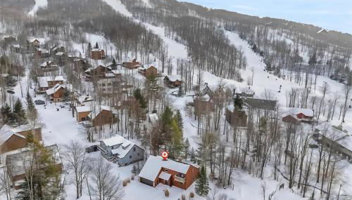 The Magic Teacup - Foto 2