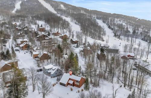 The Magic Teacup - Photo 2