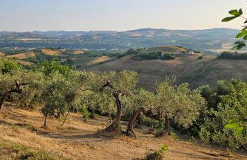 Villa Colli - Foto 41