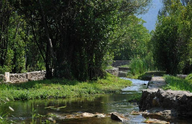 Descubre Konavle – Tour privado de un día entero - Foto 1
