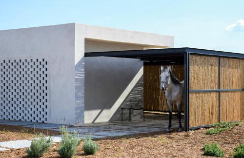 Bouca Houses - Foto 10