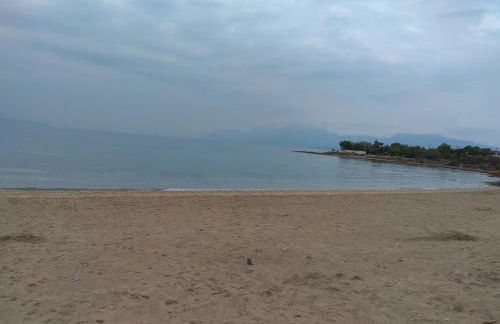 Angel House - Foto 56