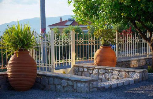 Iliovasilema - Foto 13