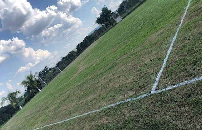 Sítio Refúgio do Alto - Photo 41