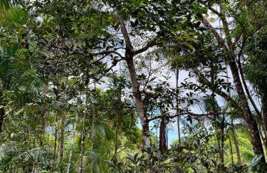 Morada do pôr do sol - Foto 22