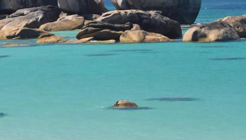 Maison de charme à 2kms de la mer - Photo 5