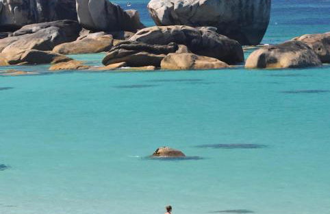 Maison de charme à 2kms de la mer - Foto 5