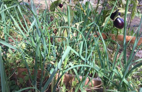 Maria’s Cottage House - Foto 41