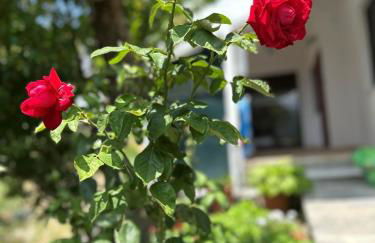 Villia home - Foto 19