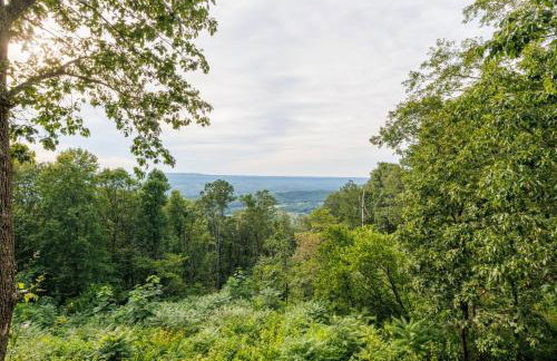 Paradise Found - Lookout Mt Edge, Hot Tub & Views - Foto 19