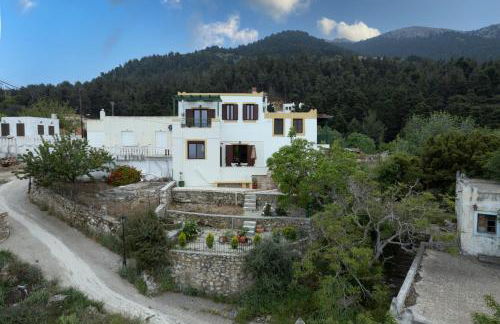 DIMIS ASOMATOS HOMES - Foto 61