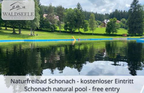 Exklusives 5-Sterne Apartment Waldseele mit Indoor-Pool, Sauna, top Lage und Ausblick in die Natur, Hunde willkommen - Foto 30