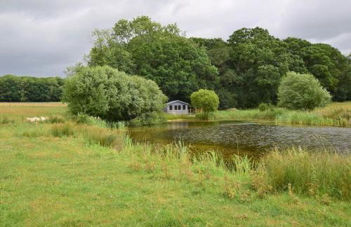 2 Bed in Warminster oc-52105 - Photo 12