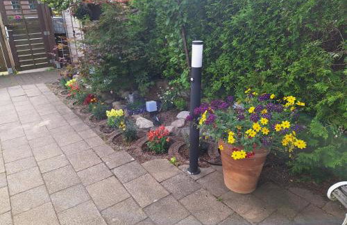 Pension Entenhausen - Foto 55