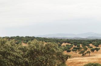 Vagar do Pastor - Foto 32