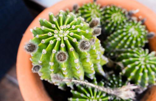 Deluxe 4BDR House W/ Pool by LovelyStay - Photo 60