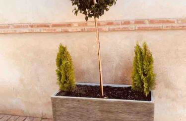 CASA RURAL VILLARRUBIA - Foto 60