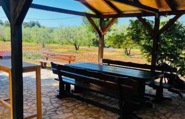 Family-friendly apartments with swimming pool Plano, Trogir - 24056 - Foto 23