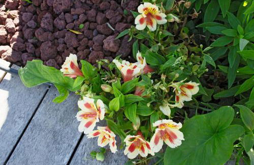 Belle Villa moderne avec piscine et jardin - Foto 8