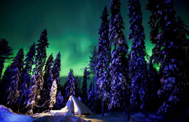 Villa Happy Fox - Foto 65