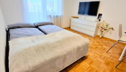 Noria - Apartment Europa-Park, Golf Club & Freiburg - Foto 4