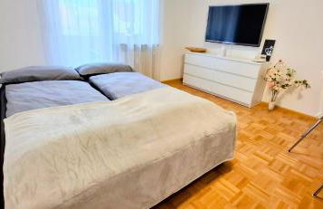 Noria - Apartment Europa-Park, Golf Club & Freiburg - Foto 4