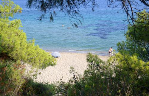 Garlis Apartments - Photo 5