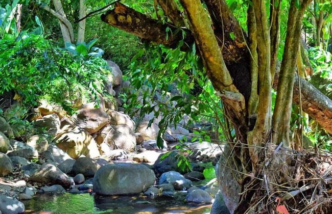 ClarenceVille Villa Apartments - Foto 26