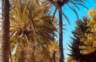 Costamarina Apartment Larimar - Foto 31