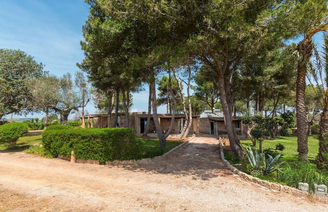 Tenuta Terenzano - Photo 28