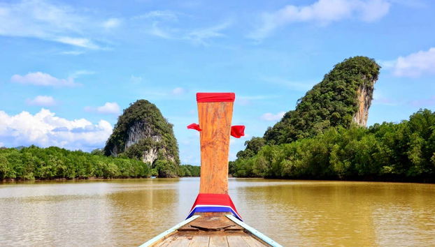 Paysage de mangrove à Krabi