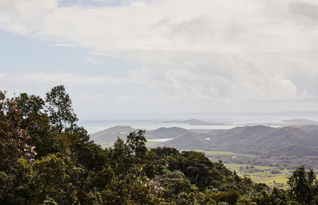 SELVA by DW - Photo 53