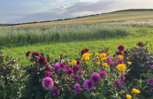 Garden Bank Cottage - Foto 14
