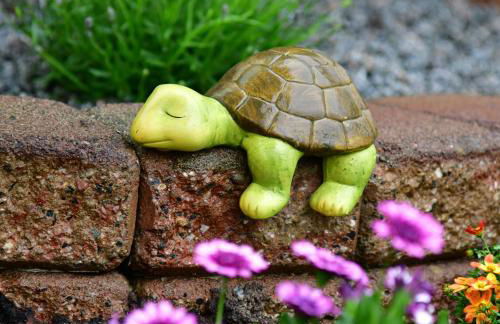 Annis Wohnschlösschen - Foto 15