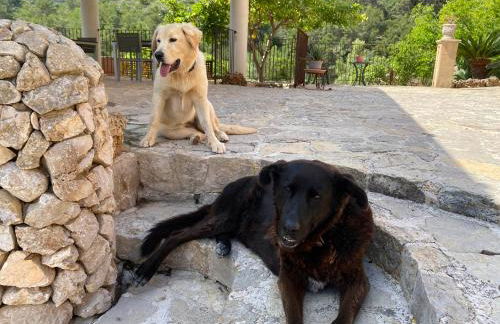 Agroturisme Es Picot - Foto 136